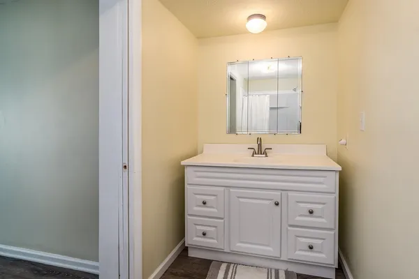 a bathroom with a sink vanity and a mirror