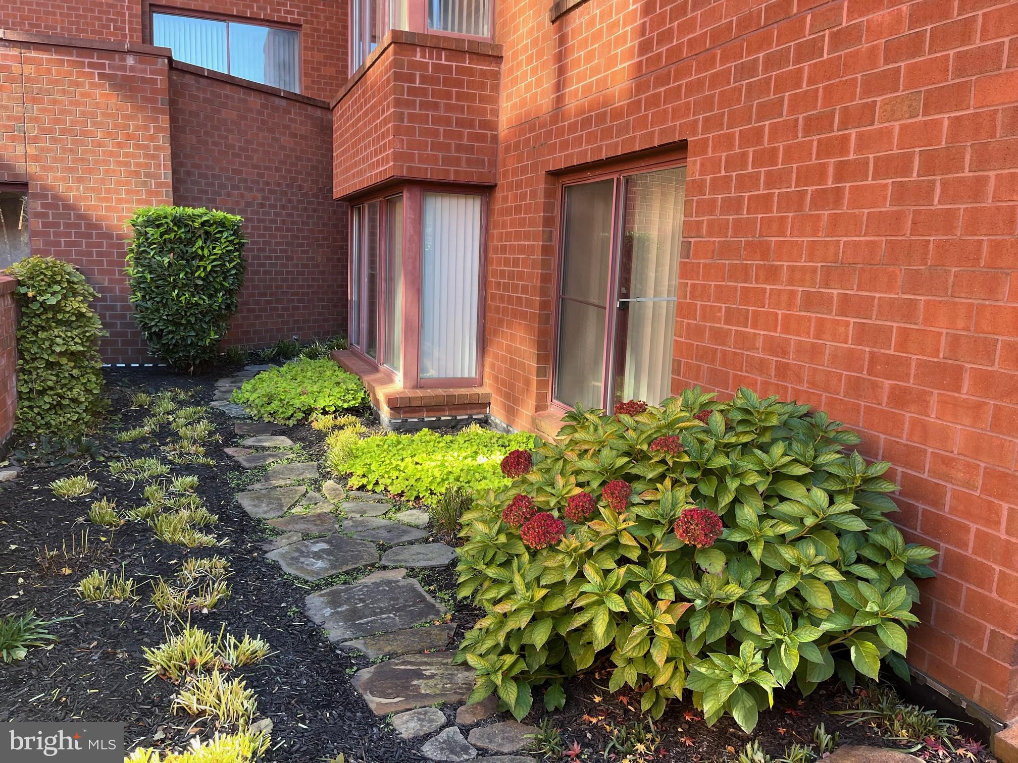 a couple of flower plants in front of a building