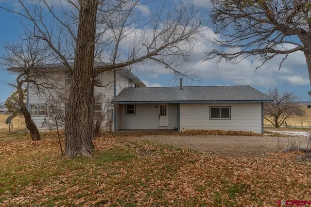 a house that has a tree in front of it