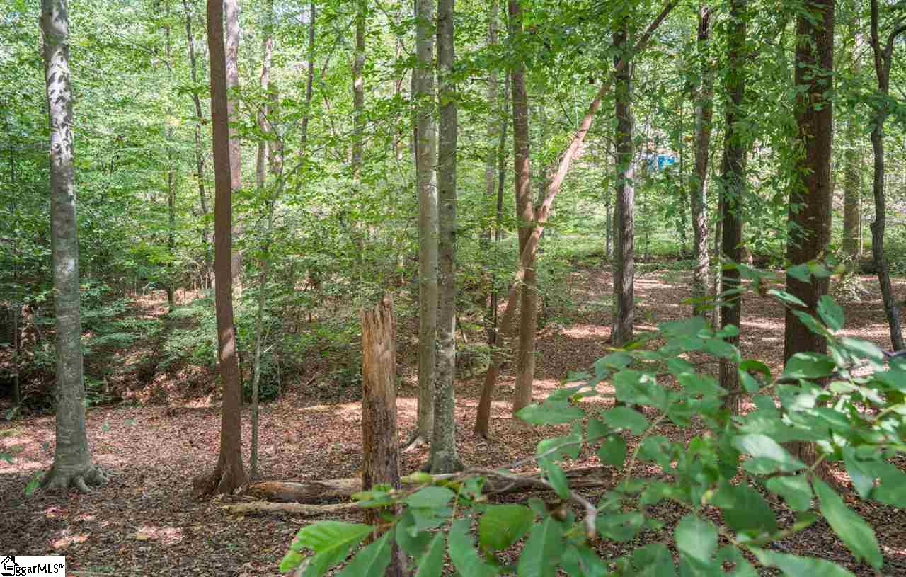 210 Quail Run Circle Fountain Inn, SC 29644 - Photo 33 of 36 Gallery Image 33