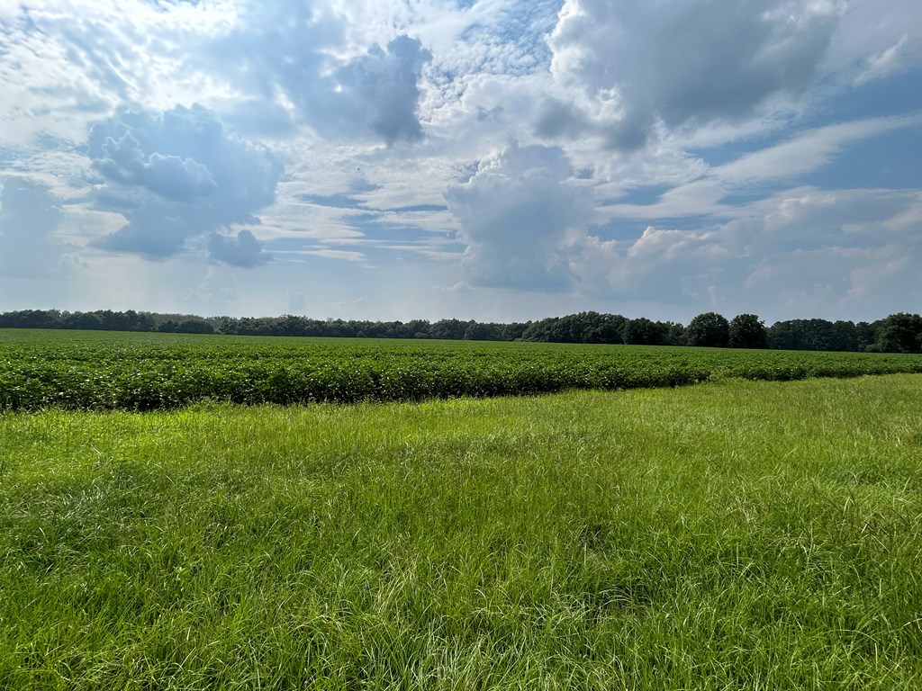 132.3-ac Green Road Dothan, AL 36303 - Photo 44 of 63