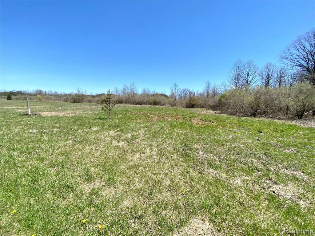 0 McIntyre Road North Street, MI 48049 - Photo 4 of 5