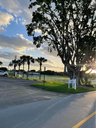 a view of street with a big yard and a large trees