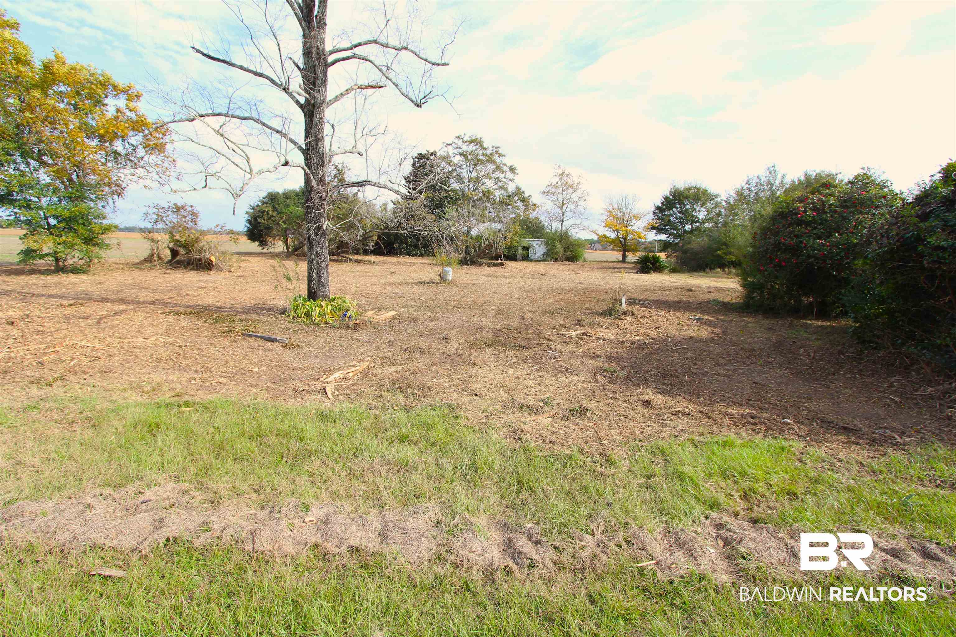 15274 Daugherty Road Foley, AL 36535 - Photo 5 of 5 Level