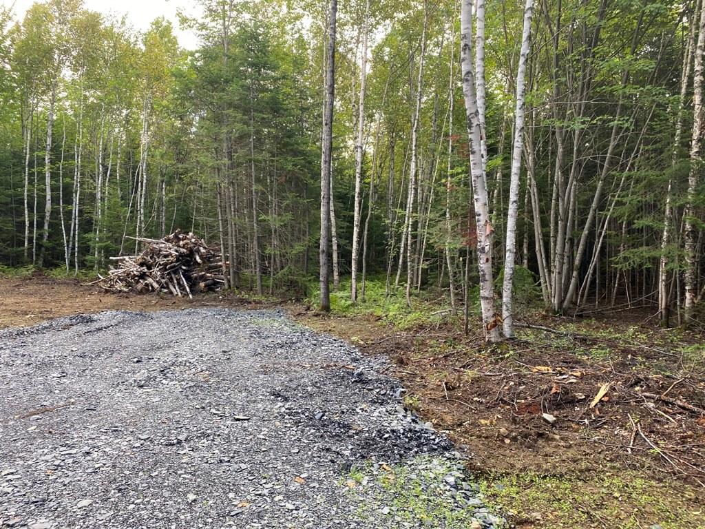 Lot 4 East Road Greenville, ME 04441 - Photo 8 of 19 IMG_3087