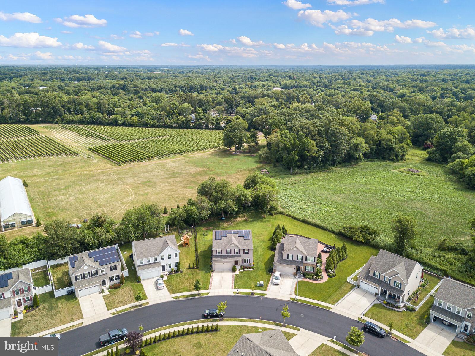 113 Redtail Hawk Circle Sewell, NJ 08080 - Photo 32 of 34 Aerial View of neighborhood