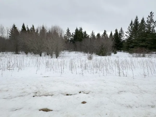 $139,900 | 31 County Road 31, Northome, MN 56661