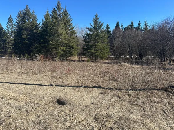 $139,900 | 31 County Road 31, Northome, MN 56661