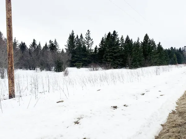 $139,900 | 31 County Road 31, Northome, MN 56661