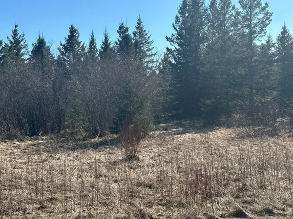 $139,900 | 31 County Road 31, Northome, MN 56661