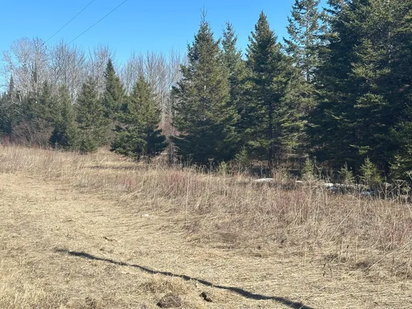 $139,900 | 31 County Road 31, Northome, MN 56661