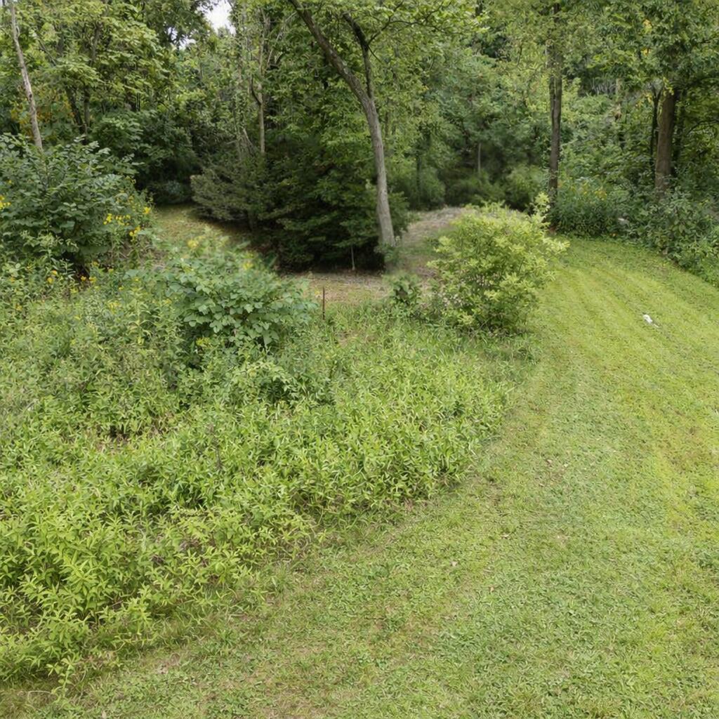 East River Road Buchanan, MI 49107 - Photo 12 of 52 Mainland Lot