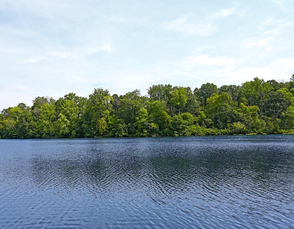 East River Road Buchanan, MI 49107 - Photo 22 of 52 Summer on the River
