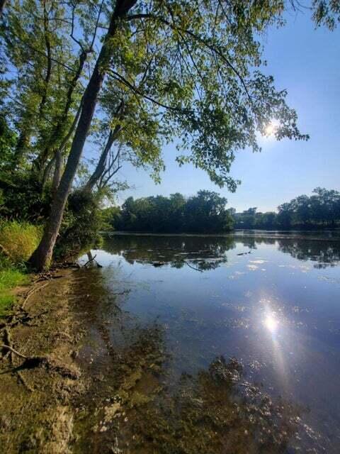 East River Road Buchanan, MI 49107 - Photo 30 of 52 Island River Facing View