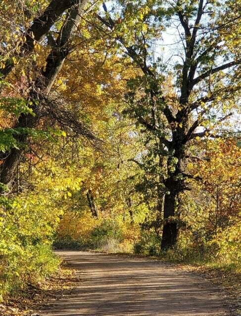 East River Road Buchanan, MI 49107 - Photo 38 of 42 River Road in the Fall