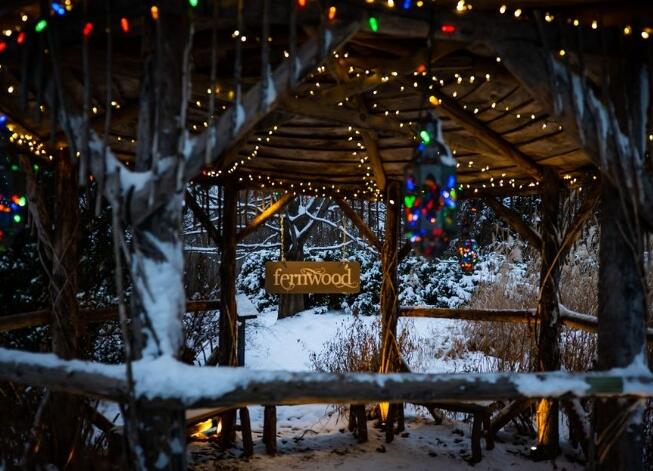 East River Road Buchanan, MI 49107 - Photo 39 of 52 Fernwood Winter Light Show