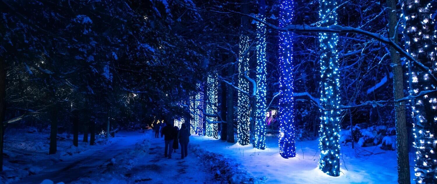 East River Road Buchanan, MI 49107 - Photo 40 of 52 Fernwood Winter Lights