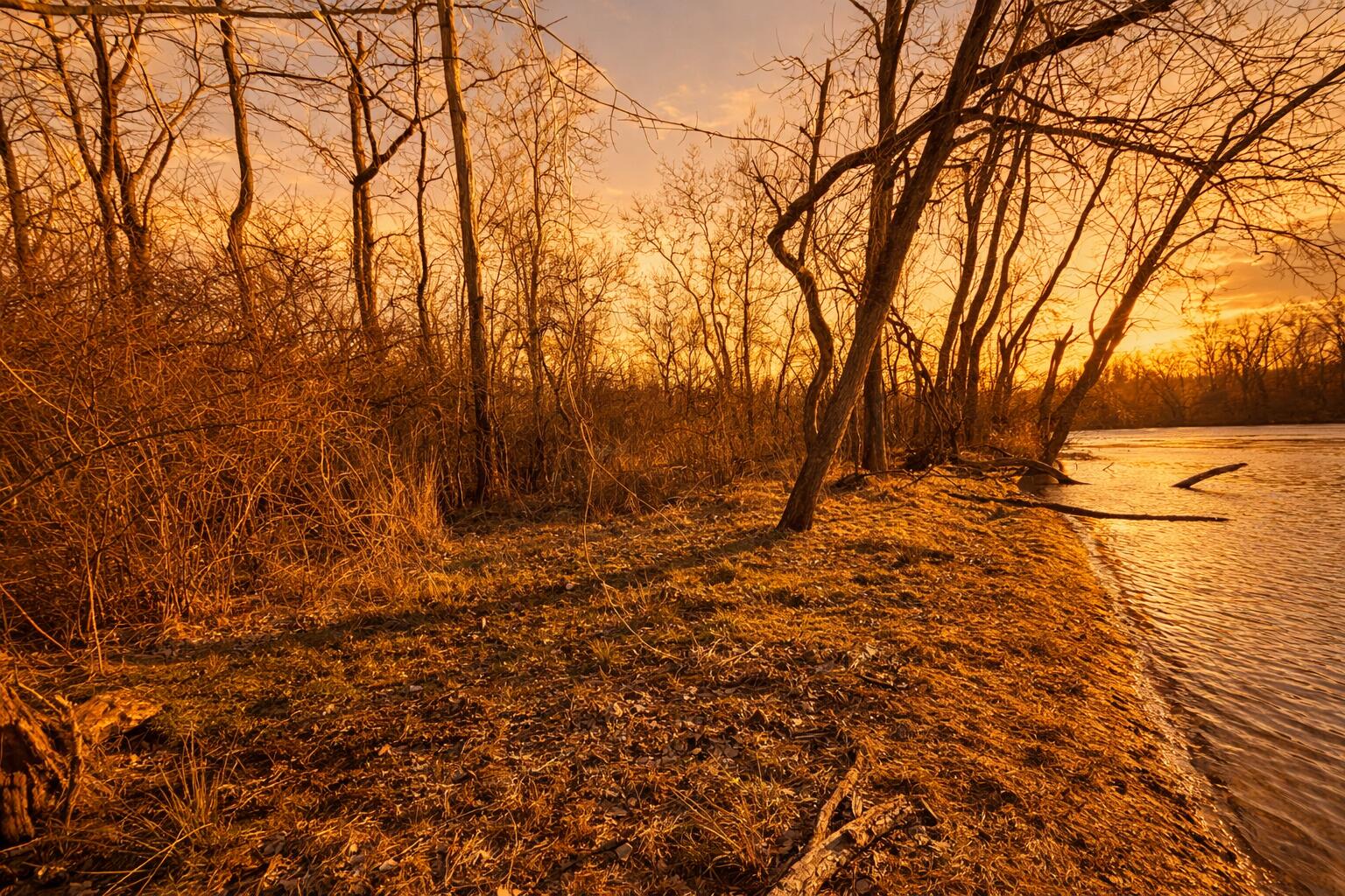 East River Road Buchanan, MI 49107 - Photo 6 of 42 Island Shore Facing River