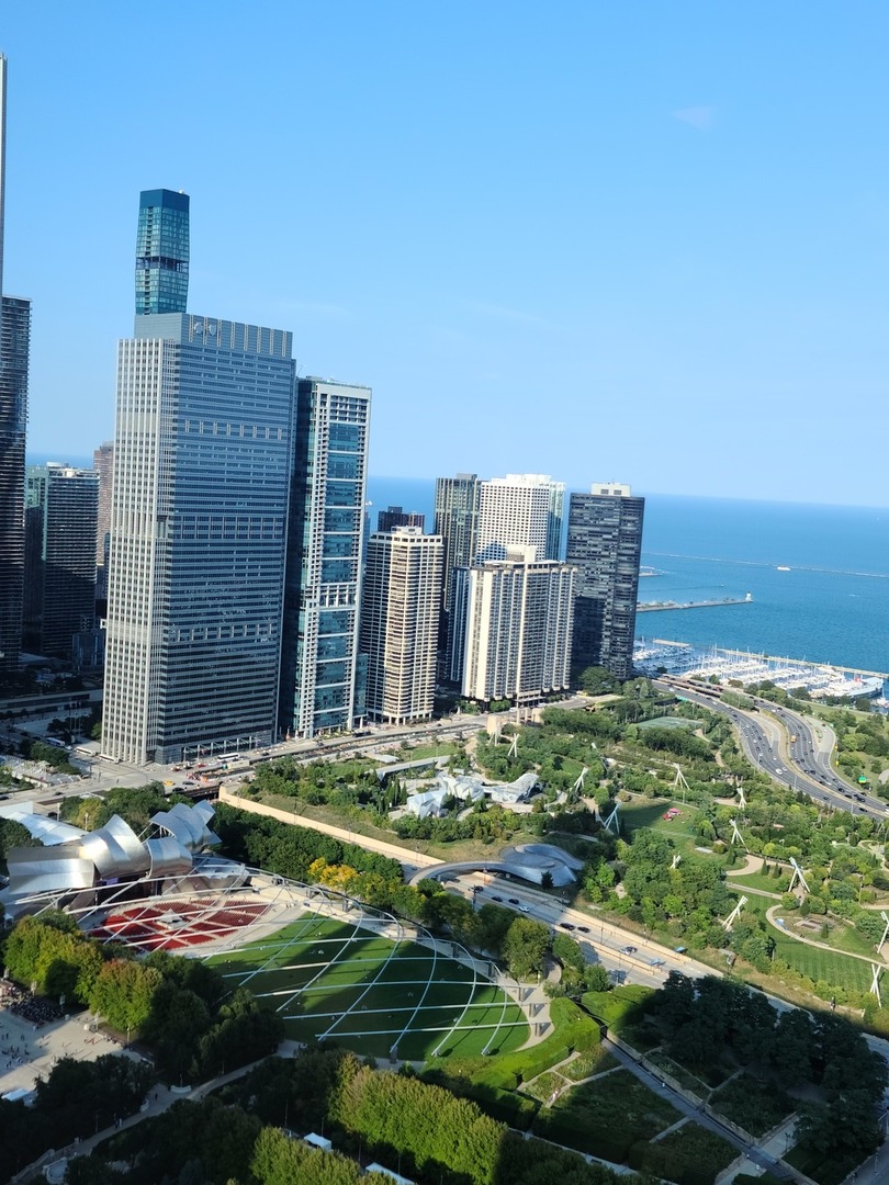 400 East Randolph Street, Unit 2019 Chicago, IL 60601 - Photo 18 of 44