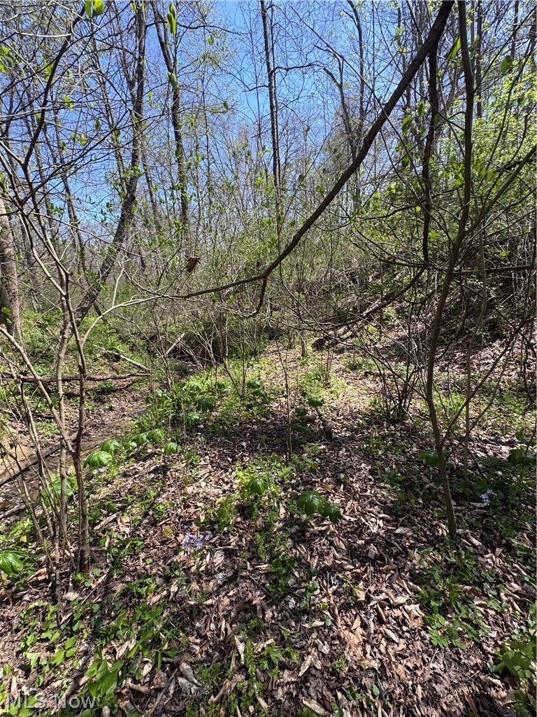 397 South Elliott Road Malta, OH 43758 - Photo 22 of 37