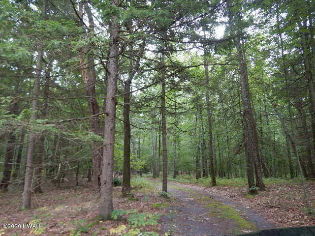 922 Silver Lake Road Dingmans Ferry, PA 18328 - Photo 7 of 20 Private Driveway