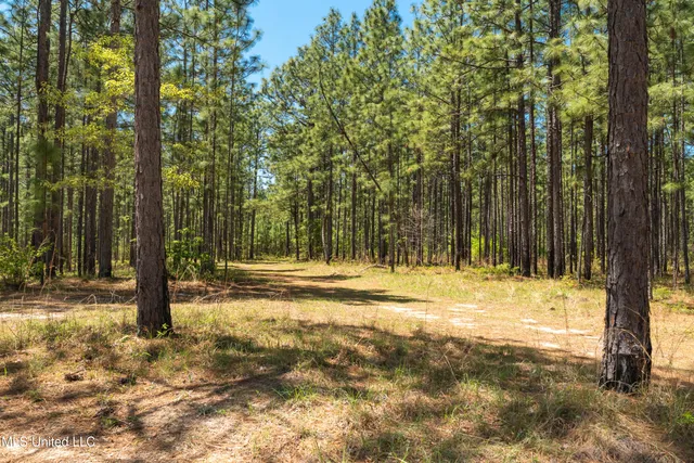 $2,284,750 | 703 Purvis To Baxterville Road, Purvis, MS 39475