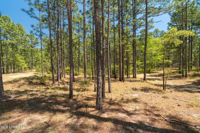 $2,284,750 | 703 Purvis To Baxterville Road, Purvis, MS 39475