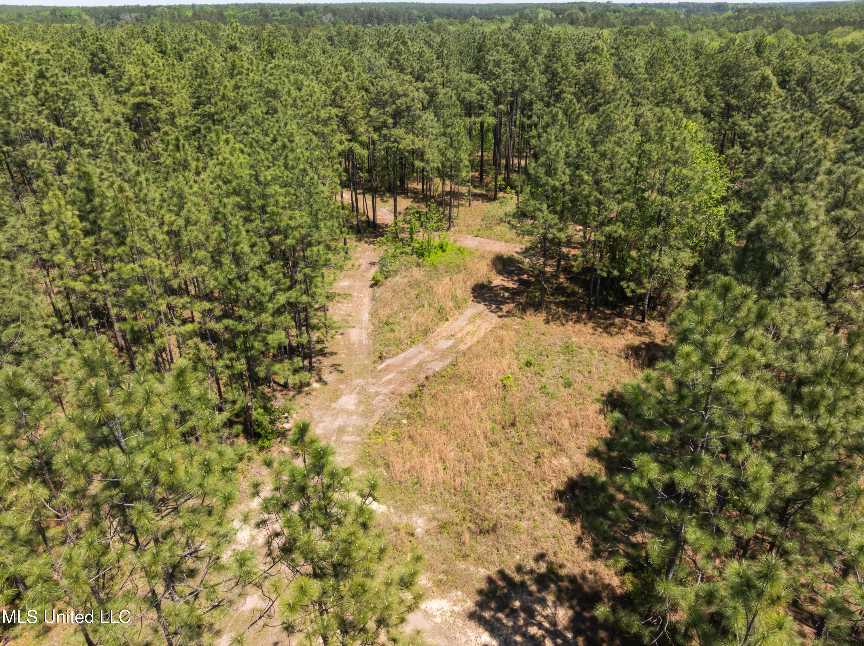 703 Purvis To Baxterville Road Purvis, MS 39475 - Photo 25 of 60 00_Purvis_To_Baxterville_Rd-25