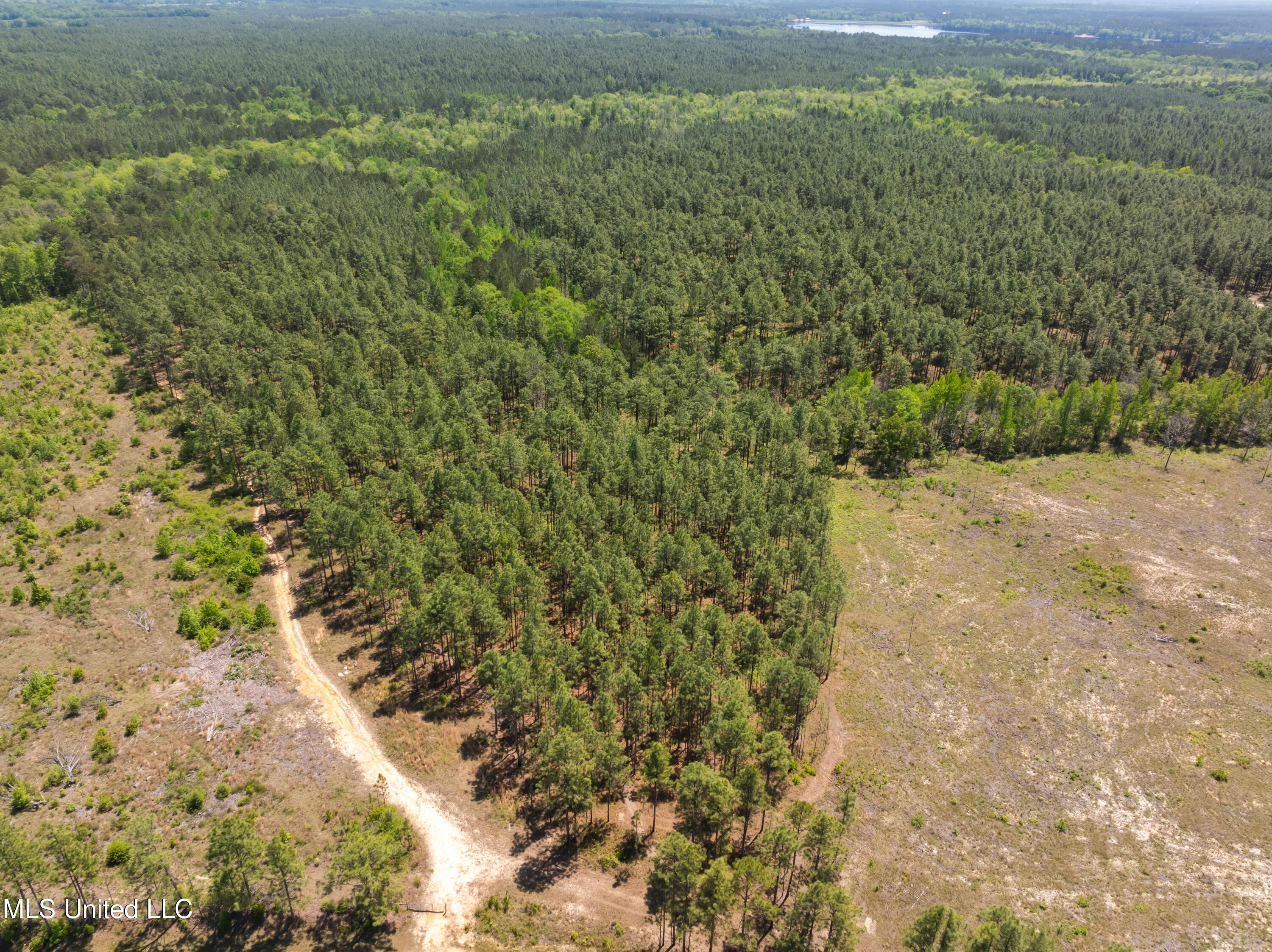 703 Purvis To Baxterville Road Purvis, MS 39475 - Photo 26 of 60 00_Purvis_To_Baxterville_Rd-26