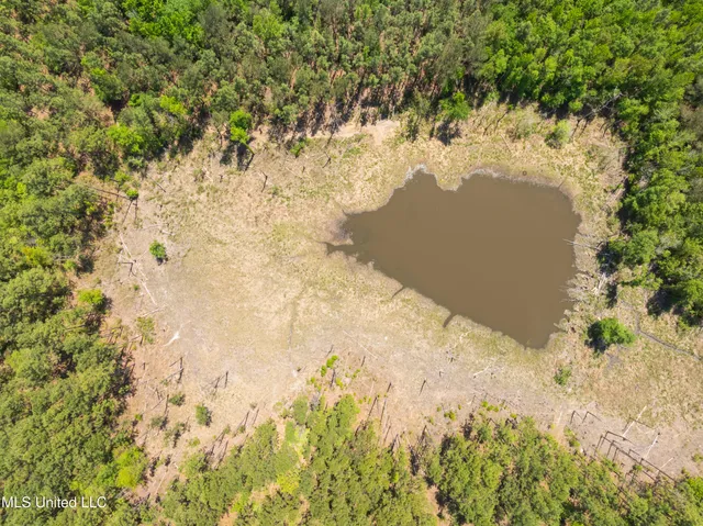 $2,284,750 | 703 Purvis To Baxterville Road, Purvis, MS 39475