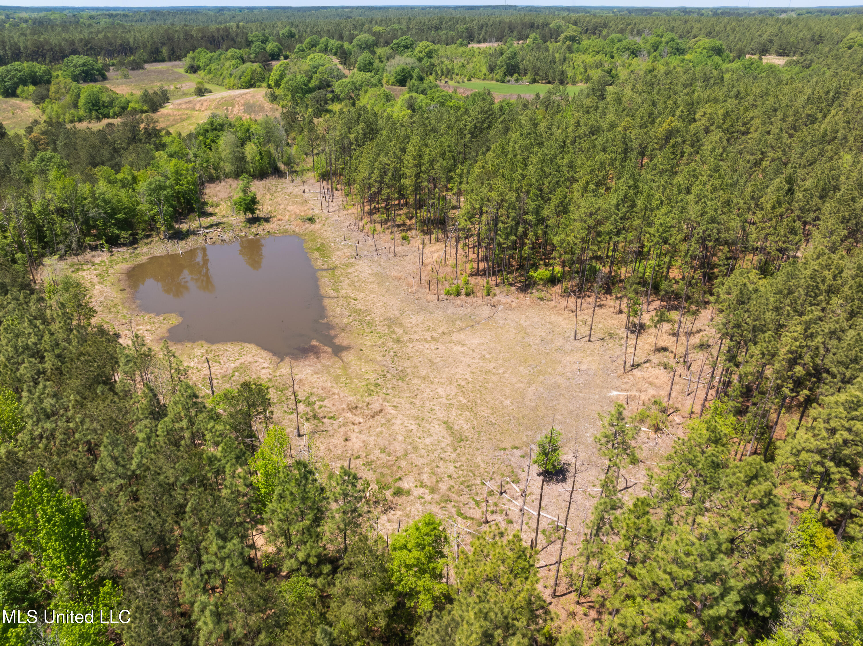 703 Purvis To Baxterville Road Purvis, MS 39475 - Photo 33 of 60 00_Purvis_To_Baxterville_Rd-33