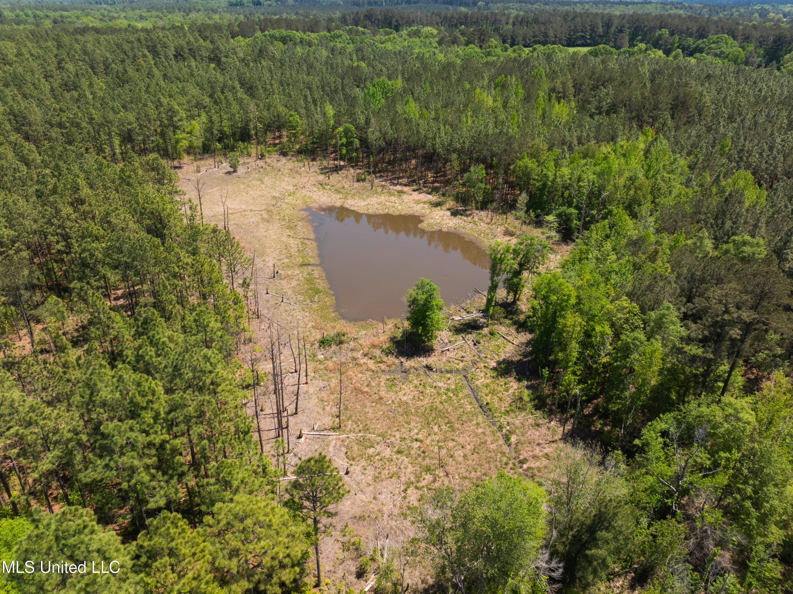 703 Purvis To Baxterville Road Purvis, MS 39475 - Photo 34 of 60 00_Purvis_To_Baxterville_Rd-34