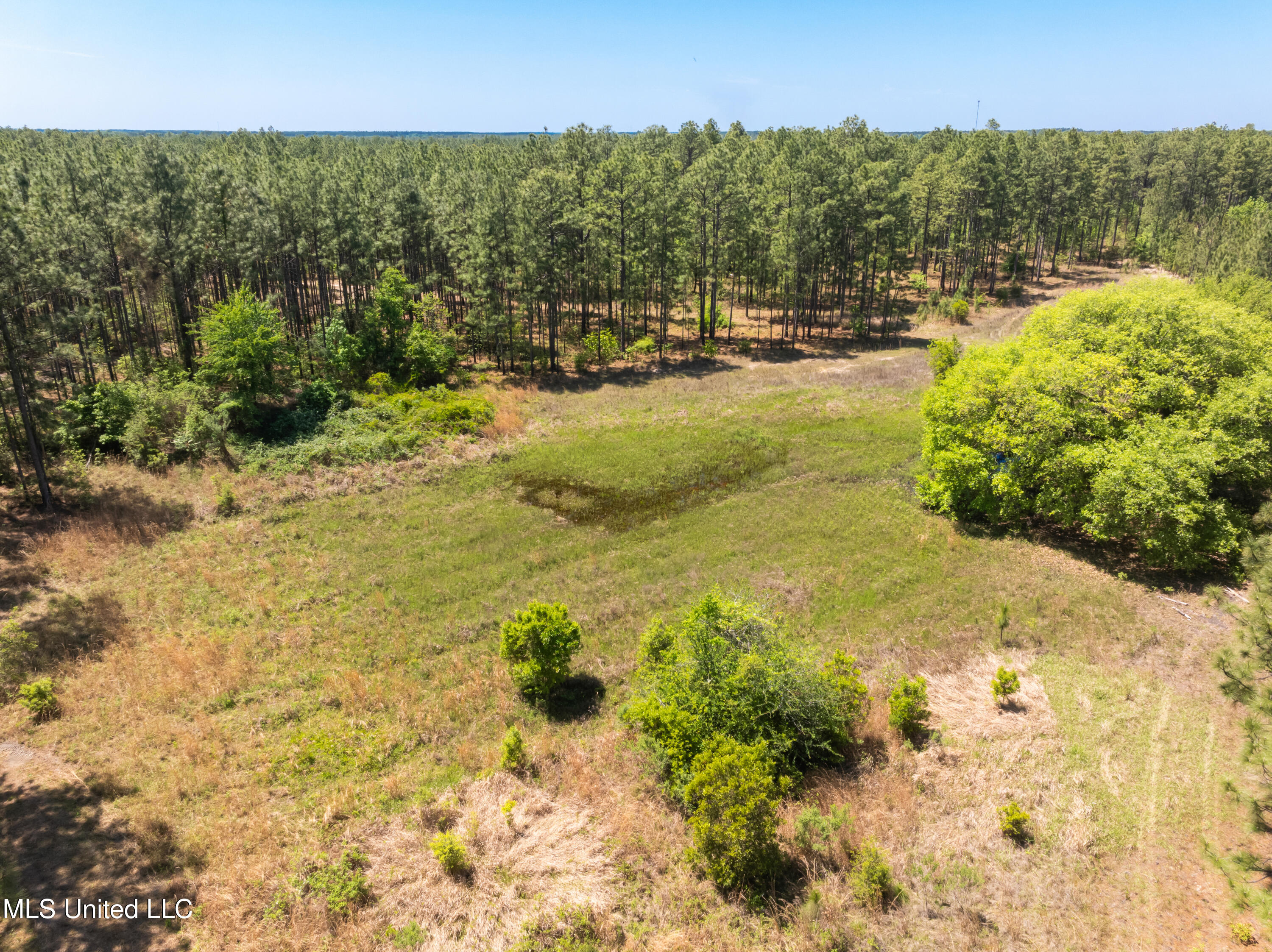 703 Purvis To Baxterville Road Purvis, MS 39475 - Photo 35 of 60 00_Purvis_To_Baxterville_Rd-35
