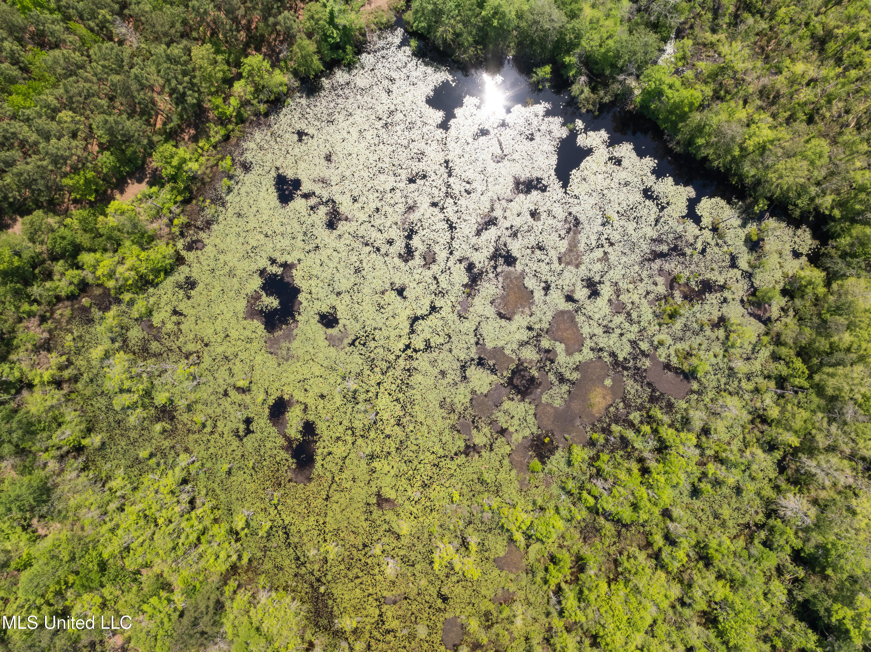 703 Purvis To Baxterville Road Purvis, MS 39475 - Photo 36 of 60 00_Purvis_To_Baxterville_Rd-36