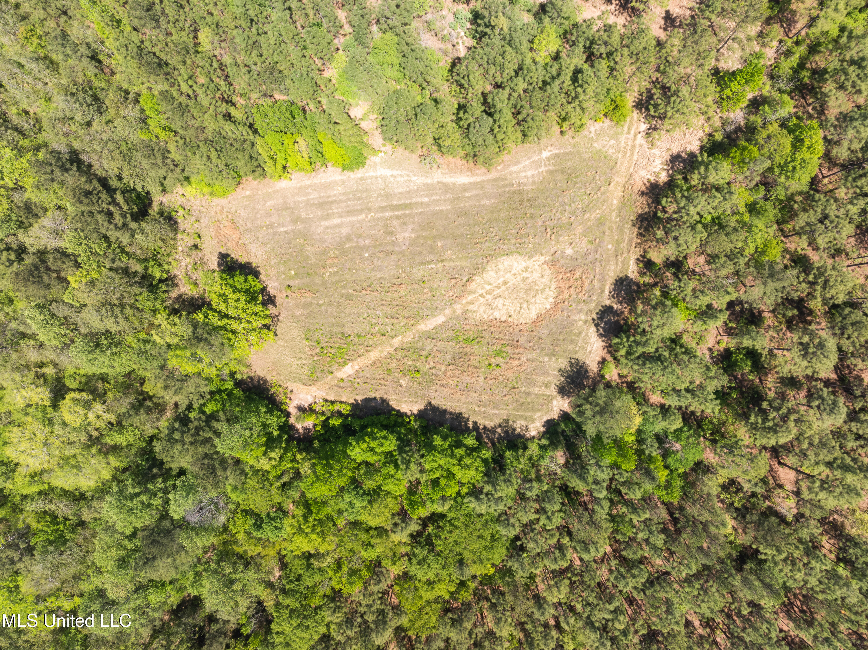 703 Purvis To Baxterville Road Purvis, MS 39475 - Photo 38 of 60 00_Purvis_To_Baxterville_Rd-38