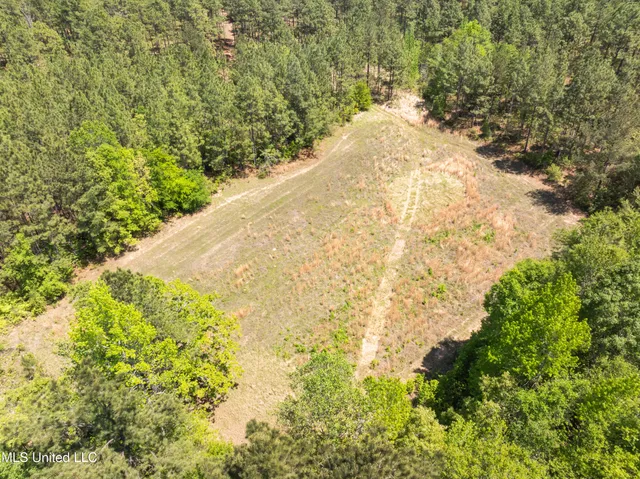 $2,284,750 | 703 Purvis To Baxterville Road, Purvis, MS 39475