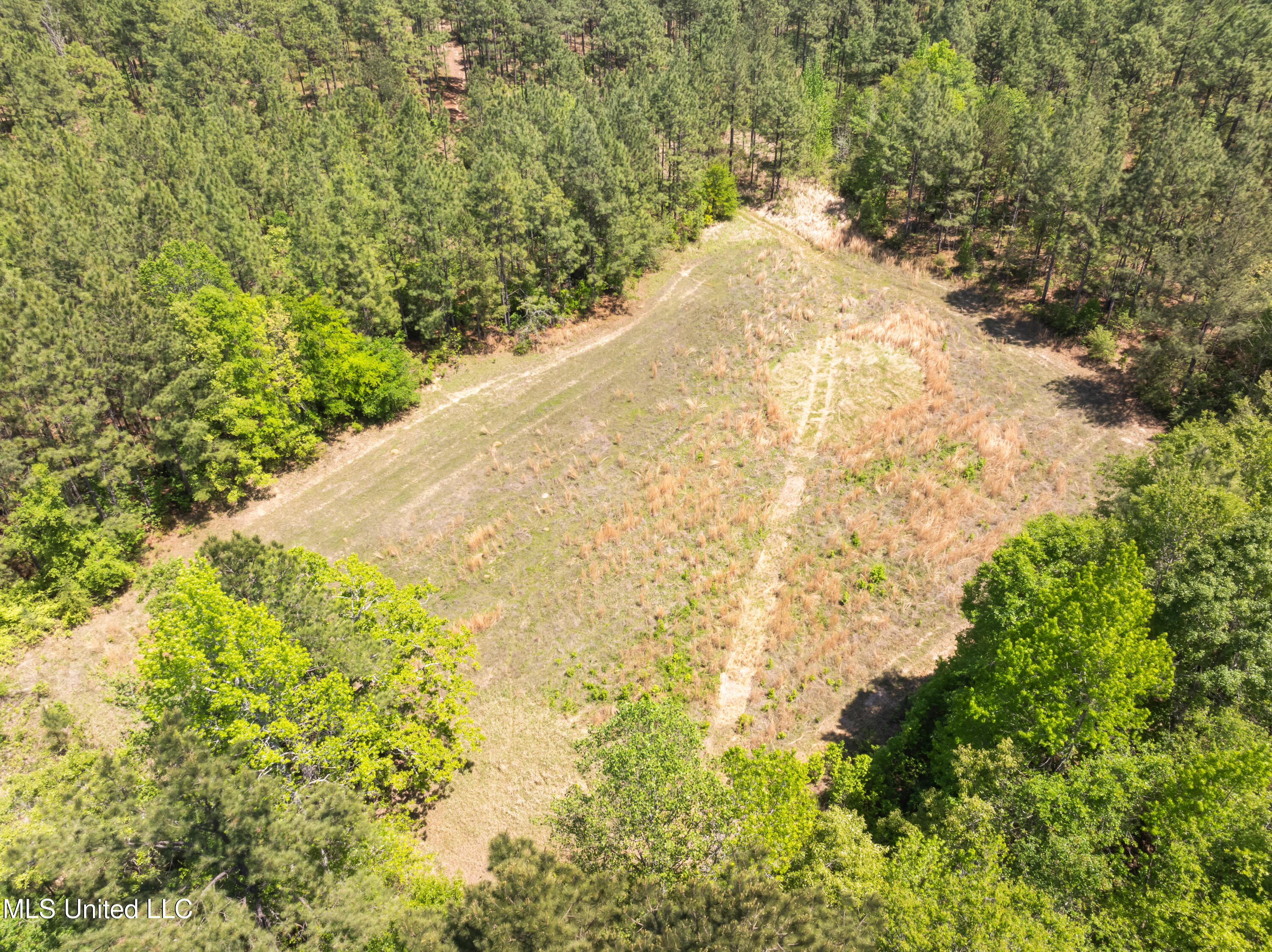 703 Purvis To Baxterville Road Purvis, MS 39475 - Photo 39 of 60 00_Purvis_To_Baxterville_Rd-39