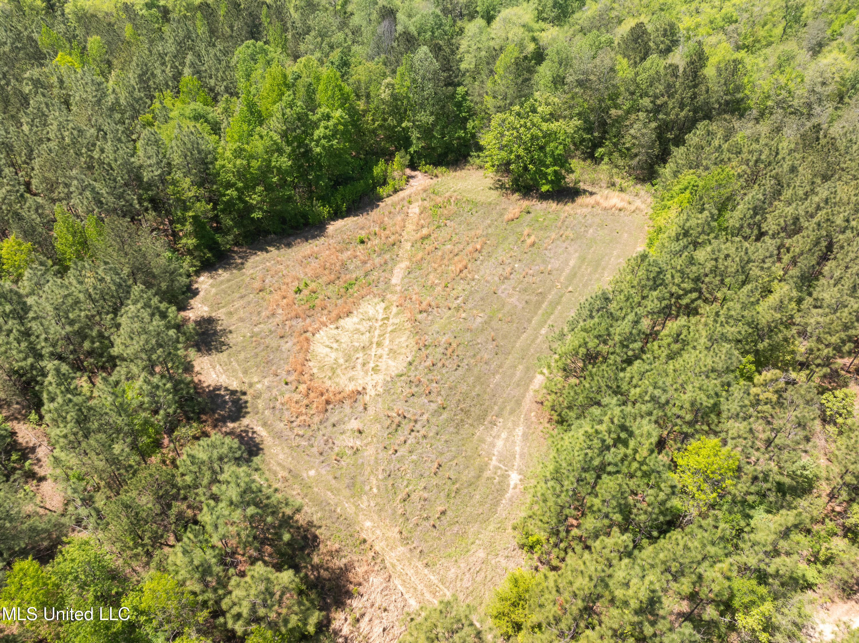 703 Purvis To Baxterville Road Purvis, MS 39475 - Photo 40 of 60 00_Purvis_To_Baxterville_Rd-40