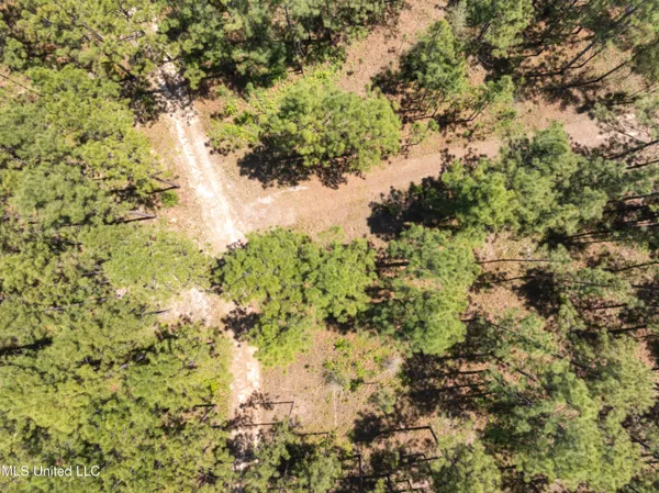 $2,284,750 | 703 Purvis To Baxterville Road, Purvis, MS 39475