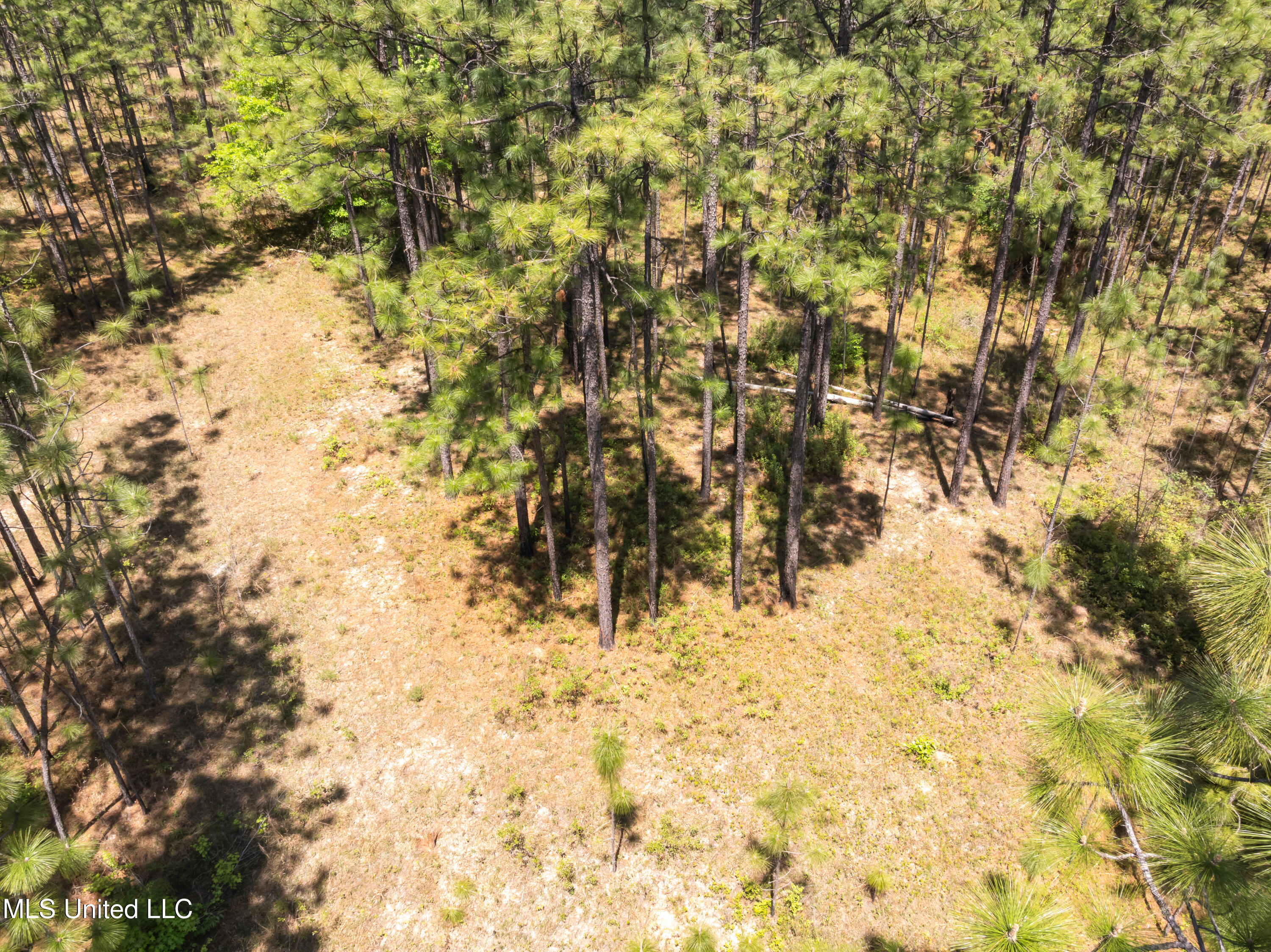 703 Purvis To Baxterville Road Purvis, MS 39475 - Photo 42 of 60 00_Purvis_To_Baxterville_Rd-42