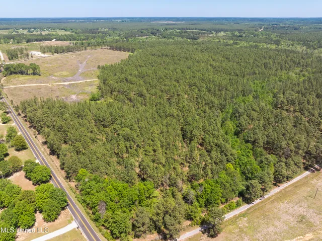 $2,284,750 | 703 Purvis To Baxterville Road, Purvis, MS 39475