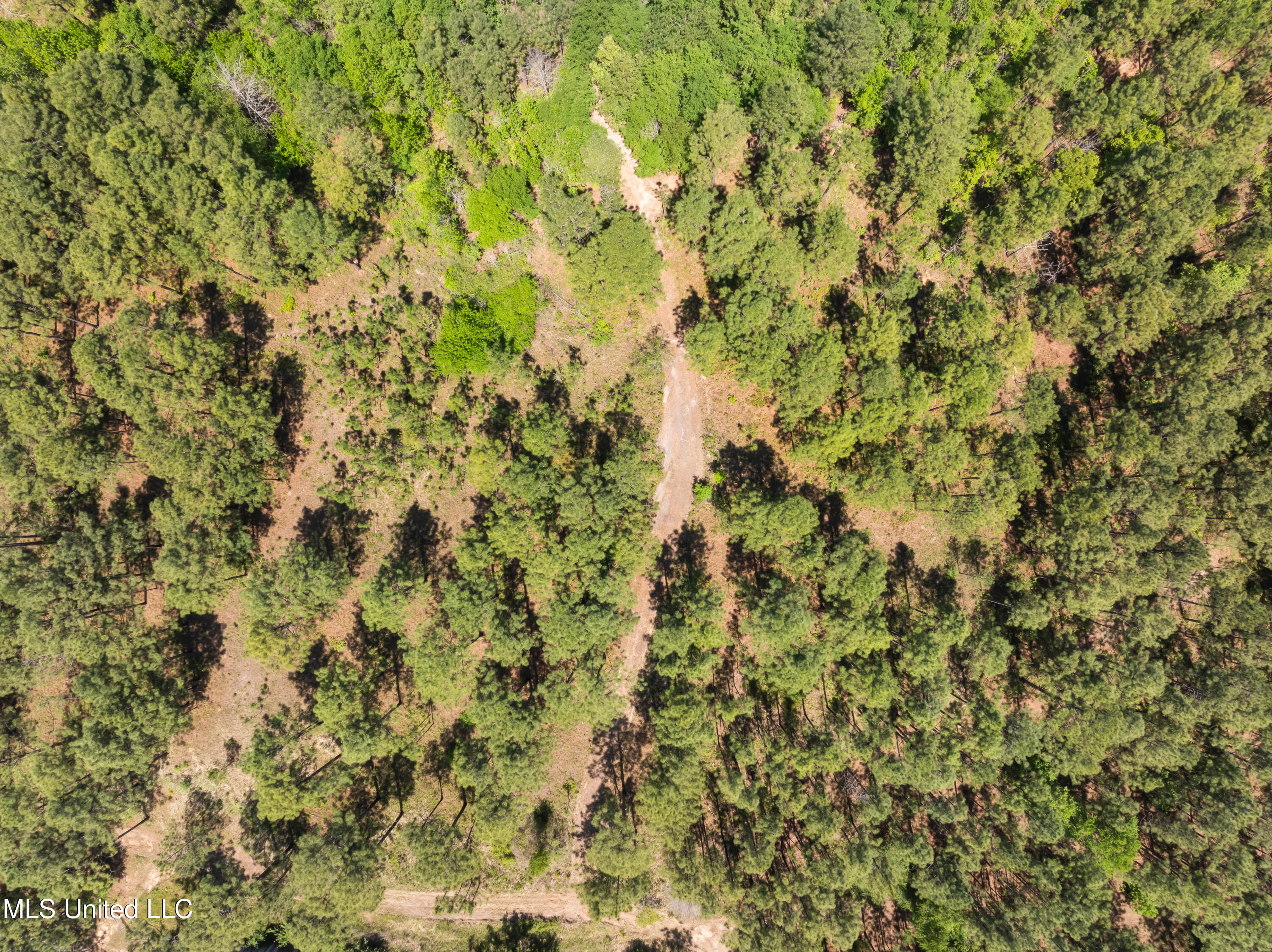 703 Purvis To Baxterville Road Purvis, MS 39475 - Photo 45 of 60 00_Purvis_To_Baxterville_Rd-45