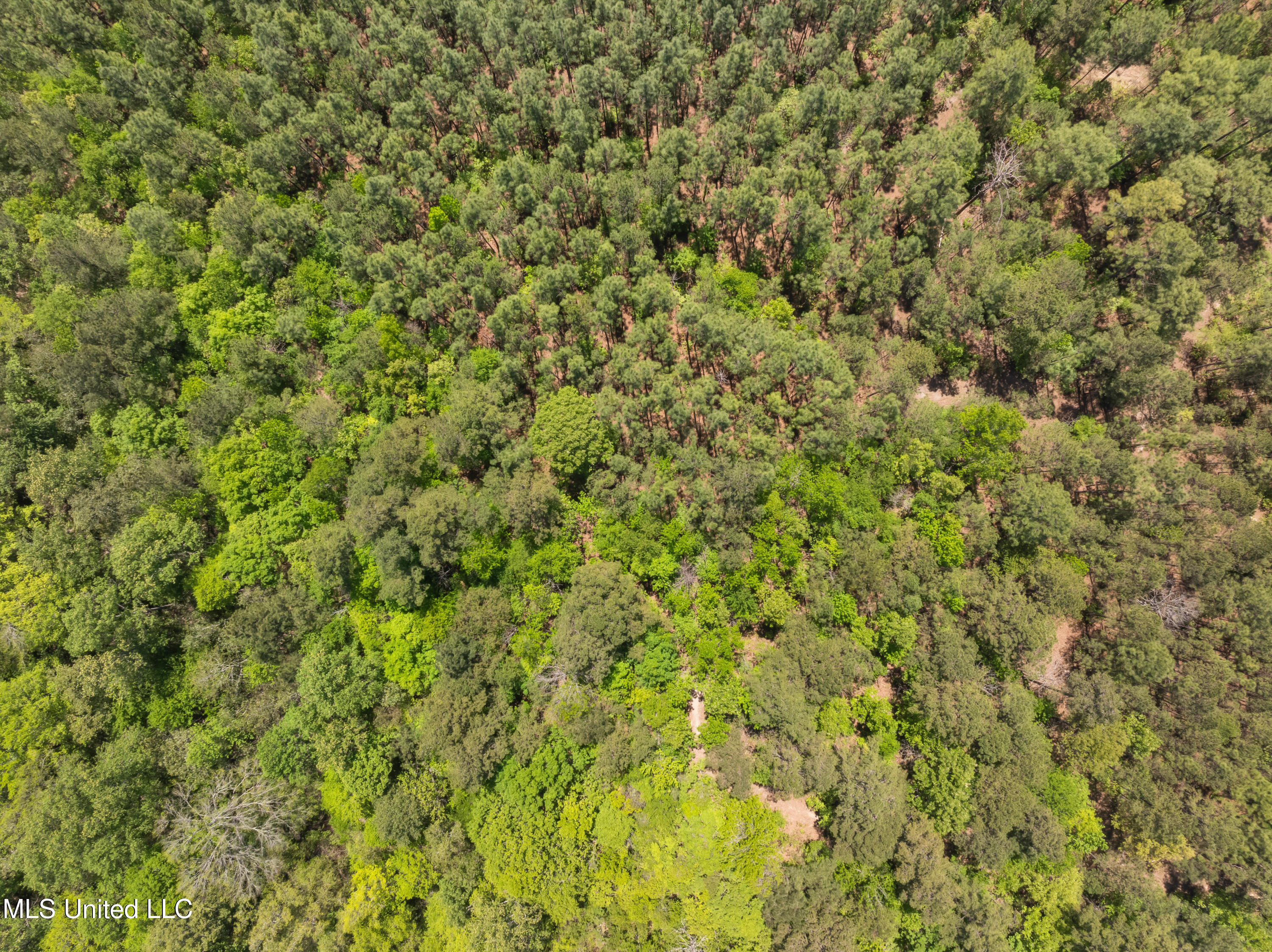 703 Purvis To Baxterville Road Purvis, MS 39475 - Photo 48 of 60 00_Purvis_To_Baxterville_Rd-48