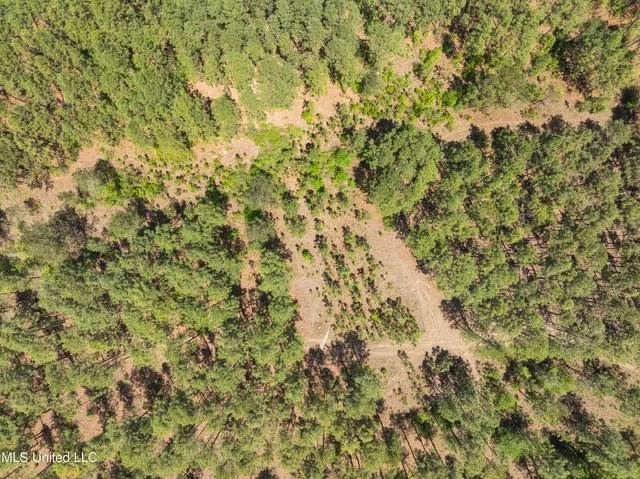 $2,284,750 | 703 Purvis To Baxterville Road, Purvis, MS 39475