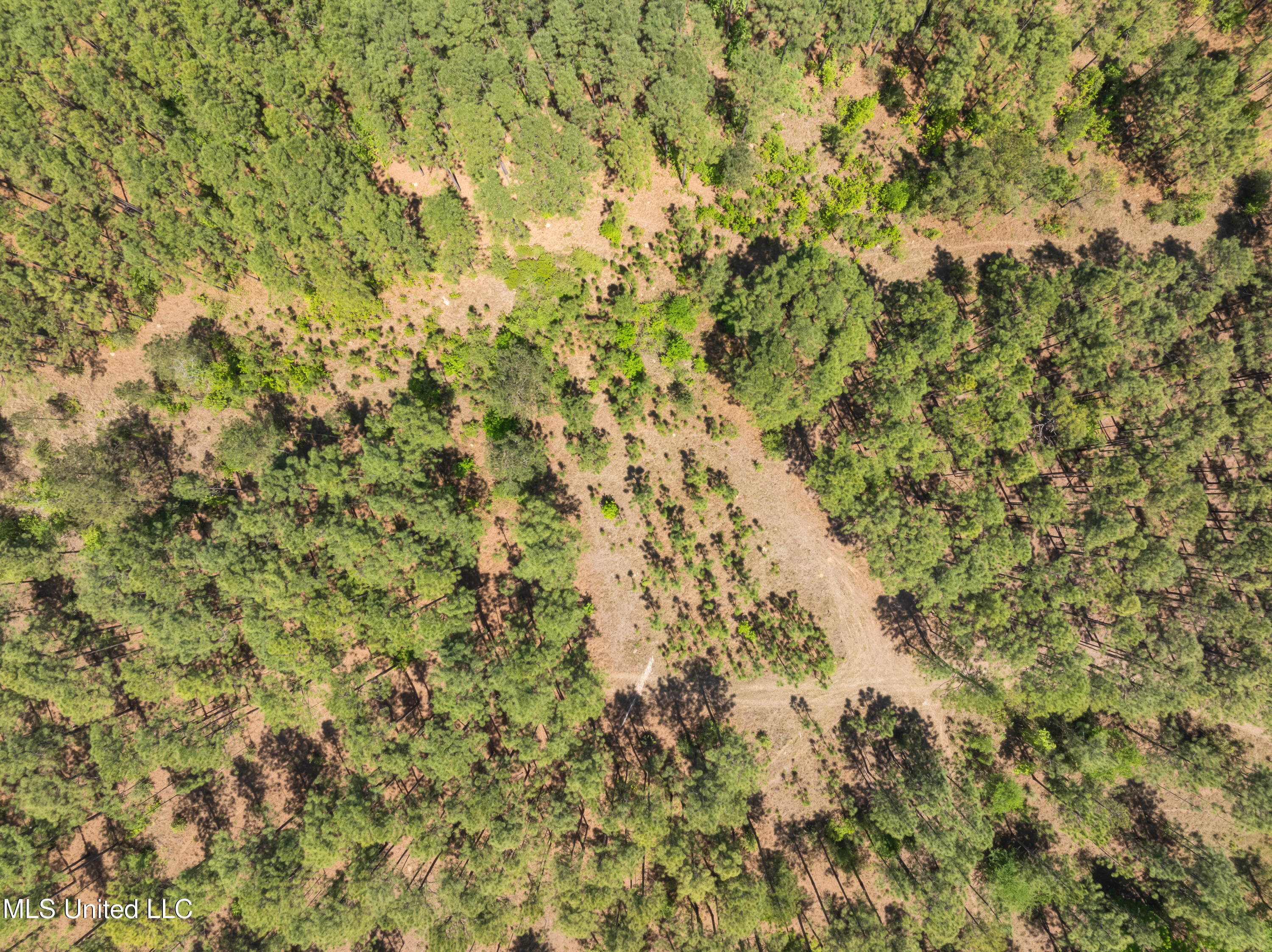 703 Purvis To Baxterville Road Purvis, MS 39475 - Photo 51 of 60 00_Purvis_To_Baxterville_Rd-51