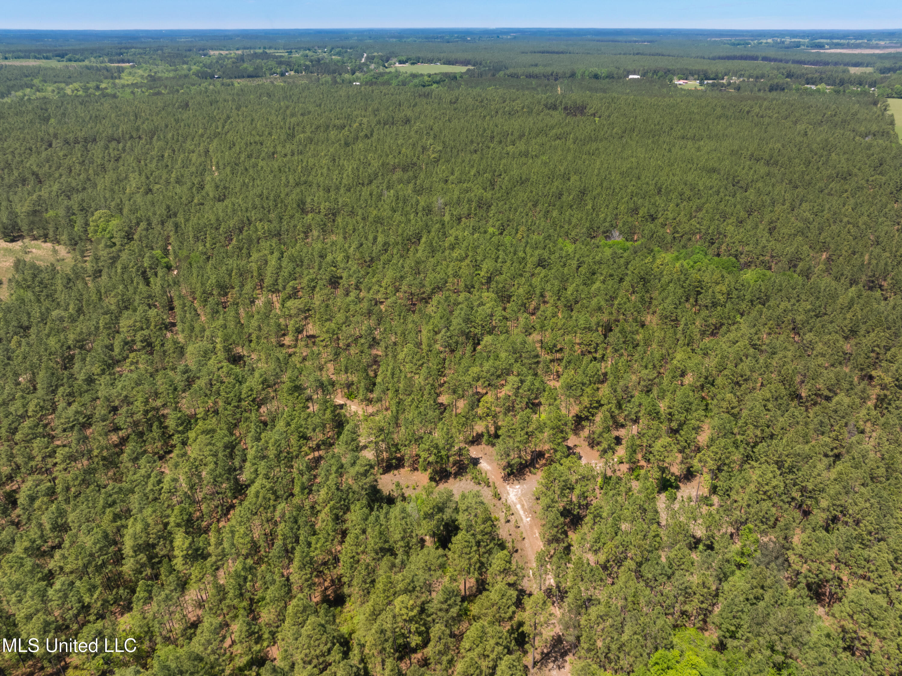 703 Purvis To Baxterville Road Purvis, MS 39475 - Photo 53 of 60 00_Purvis_To_Baxterville_Rd-53