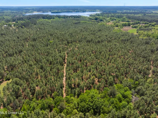 $2,284,750 | 703 Purvis To Baxterville Road, Purvis, MS 39475