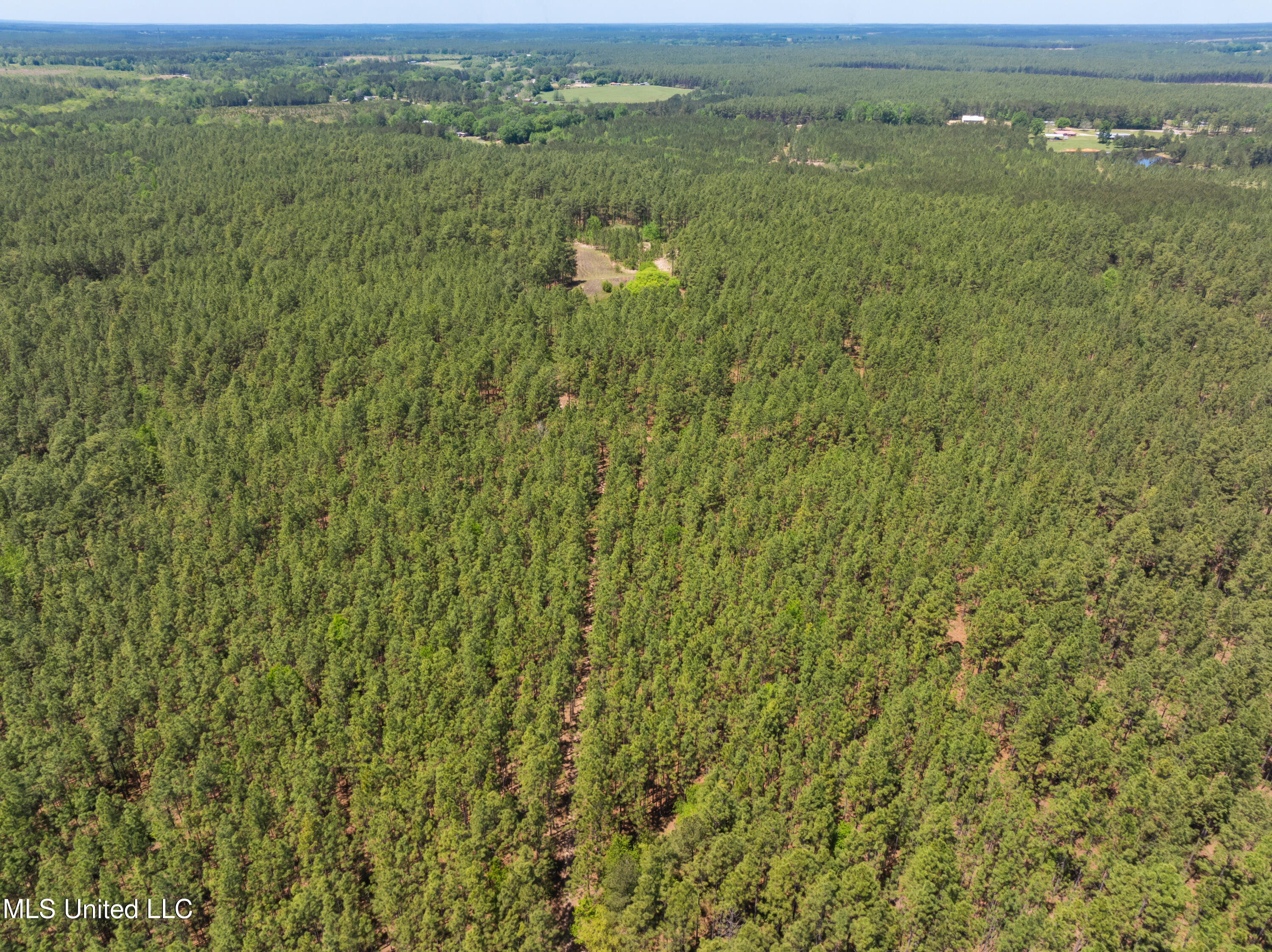703 Purvis To Baxterville Road Purvis, MS 39475 - Photo 55 of 60 00_Purvis_To_Baxterville_Rd-55