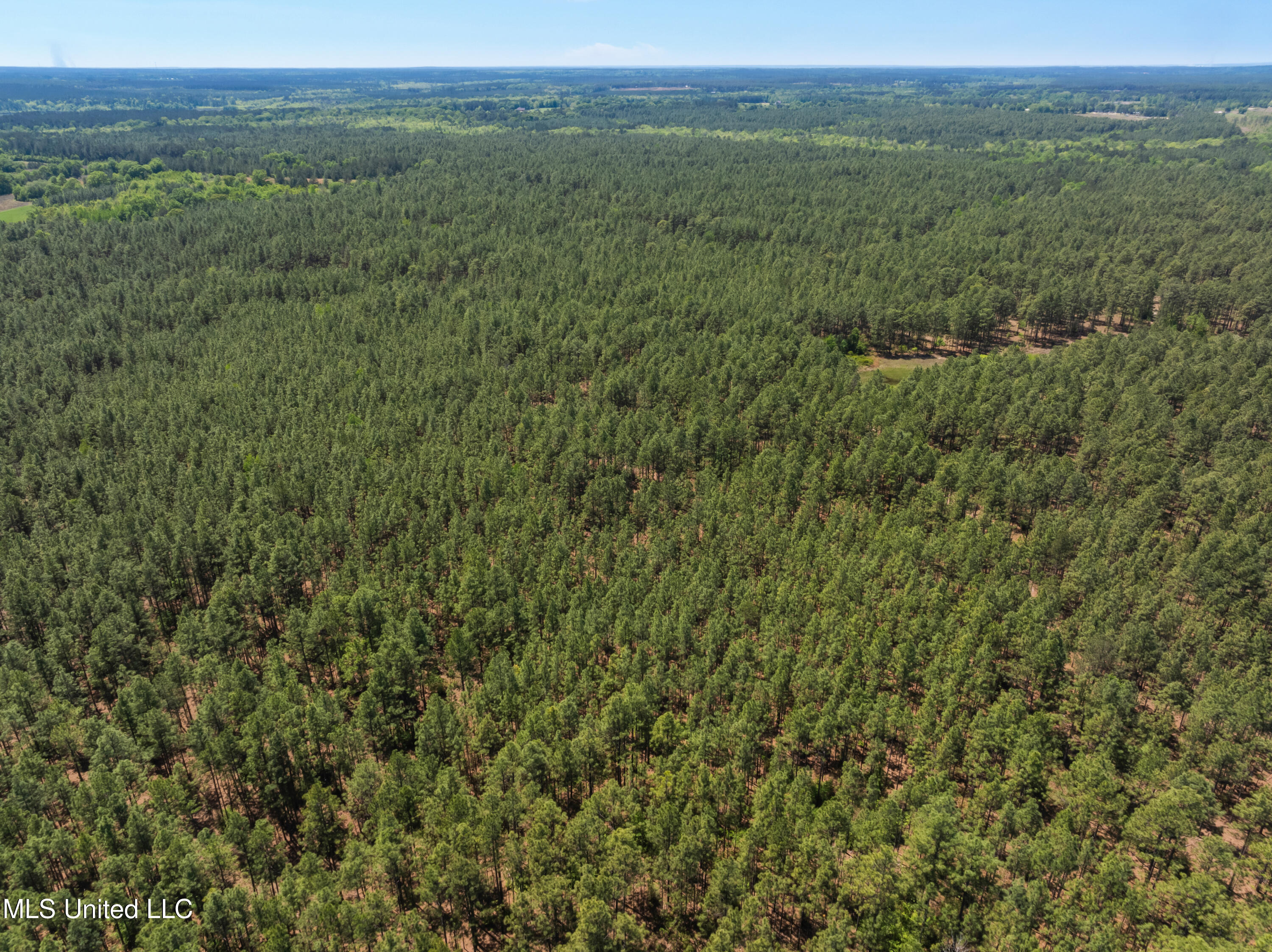 703 Purvis To Baxterville Road Purvis, MS 39475 - Photo 56 of 60 00_Purvis_To_Baxterville_Rd-56