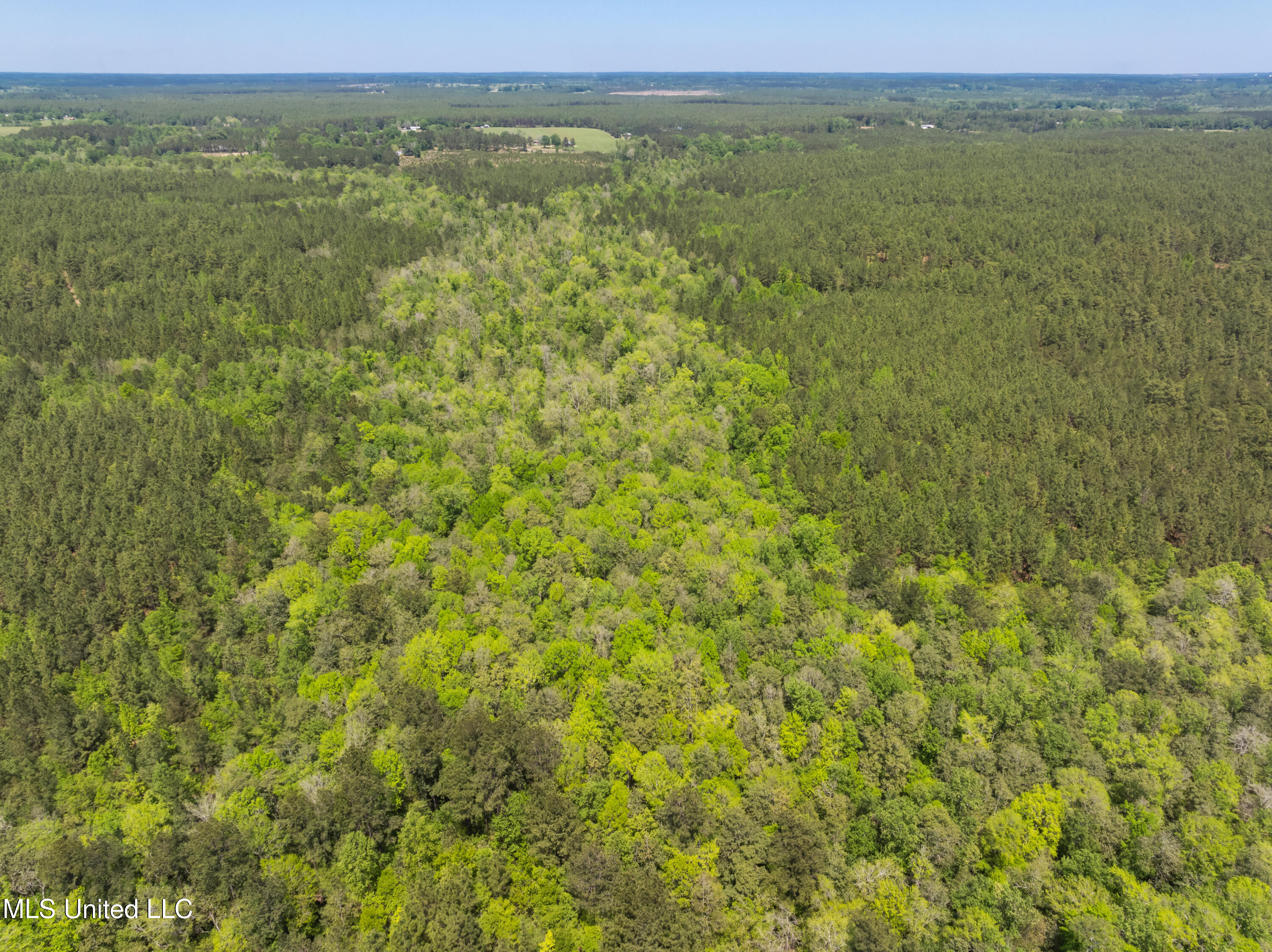 703 Purvis To Baxterville Road Purvis, MS 39475 - Photo 59 of 60 00_Purvis_To_Baxterville_Rd-59